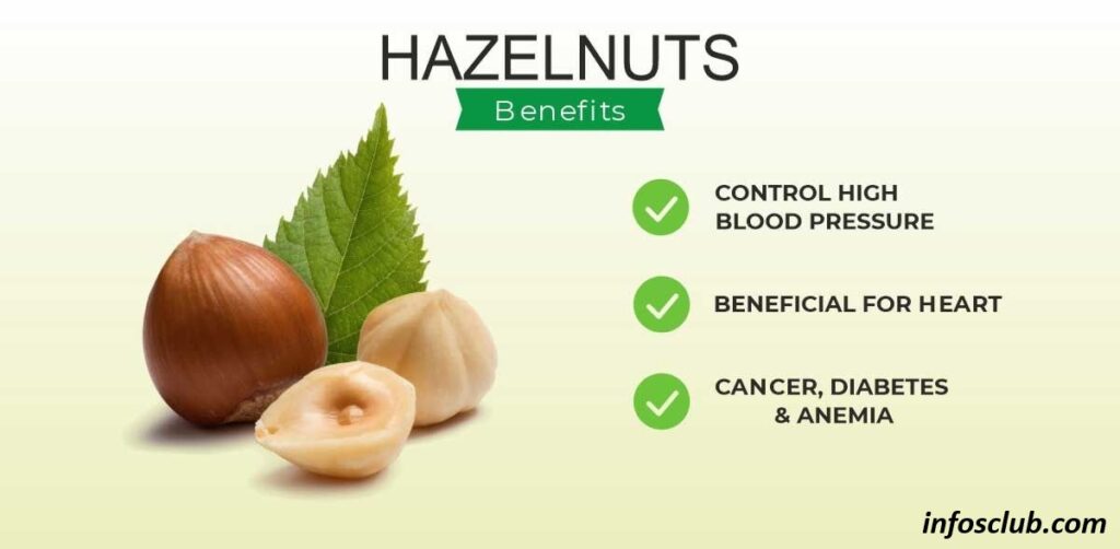 Hazelnut Increase Sperm Count, Benefits, Nutrition