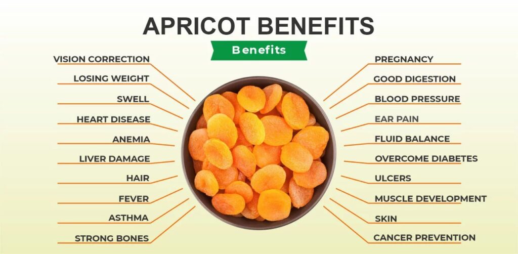What Are The Dried Apricot and Why We use In Life?