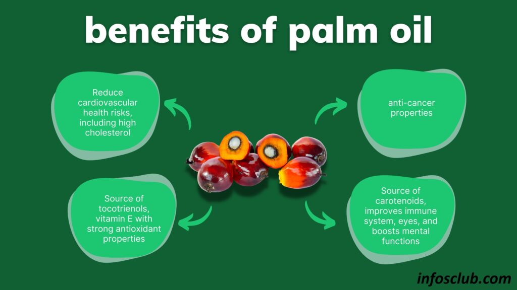What Is Palm Oil | Benefits, Nutrition Of Palm Oil