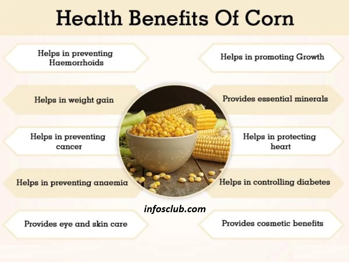 Benefits And Side Effect Of Corn Oil, Nutrition, Summary