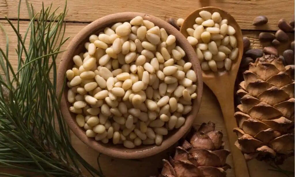Pine Nut/Chilgoza Benefits For Males And Females, Nutrition