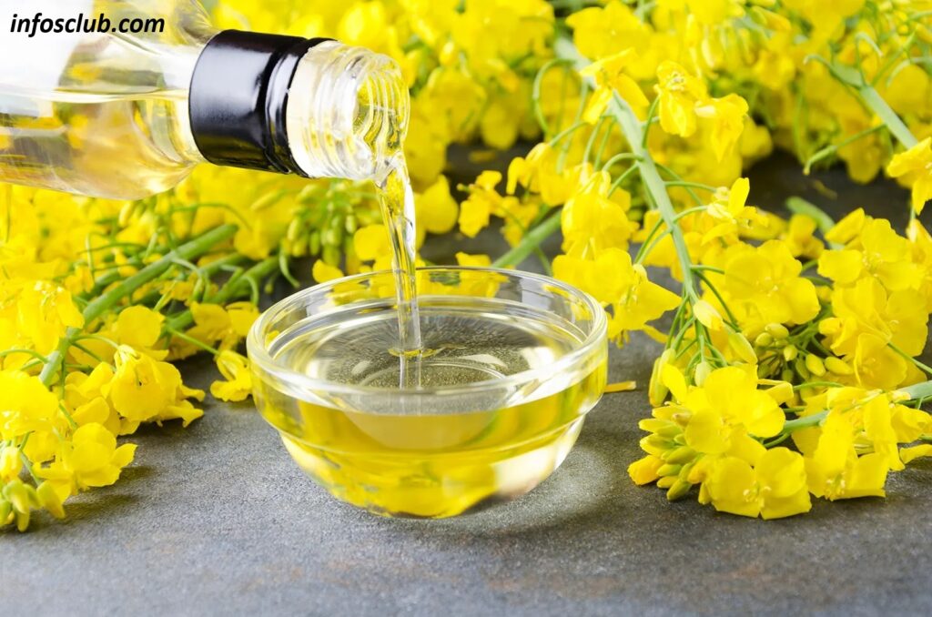 Top Benefits/Side Effect Of Canola Oil And Nutrition