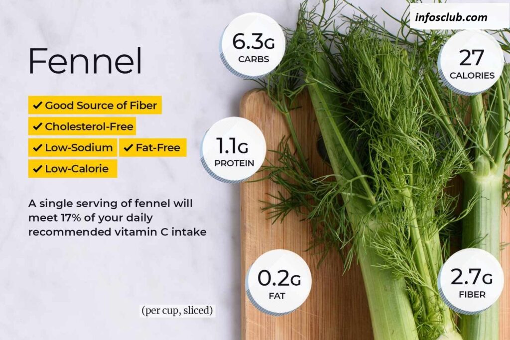 The common fennel is a flowering plant species that belongs to the same family as carrots. Its scientific name is Foeniculum vulgare,