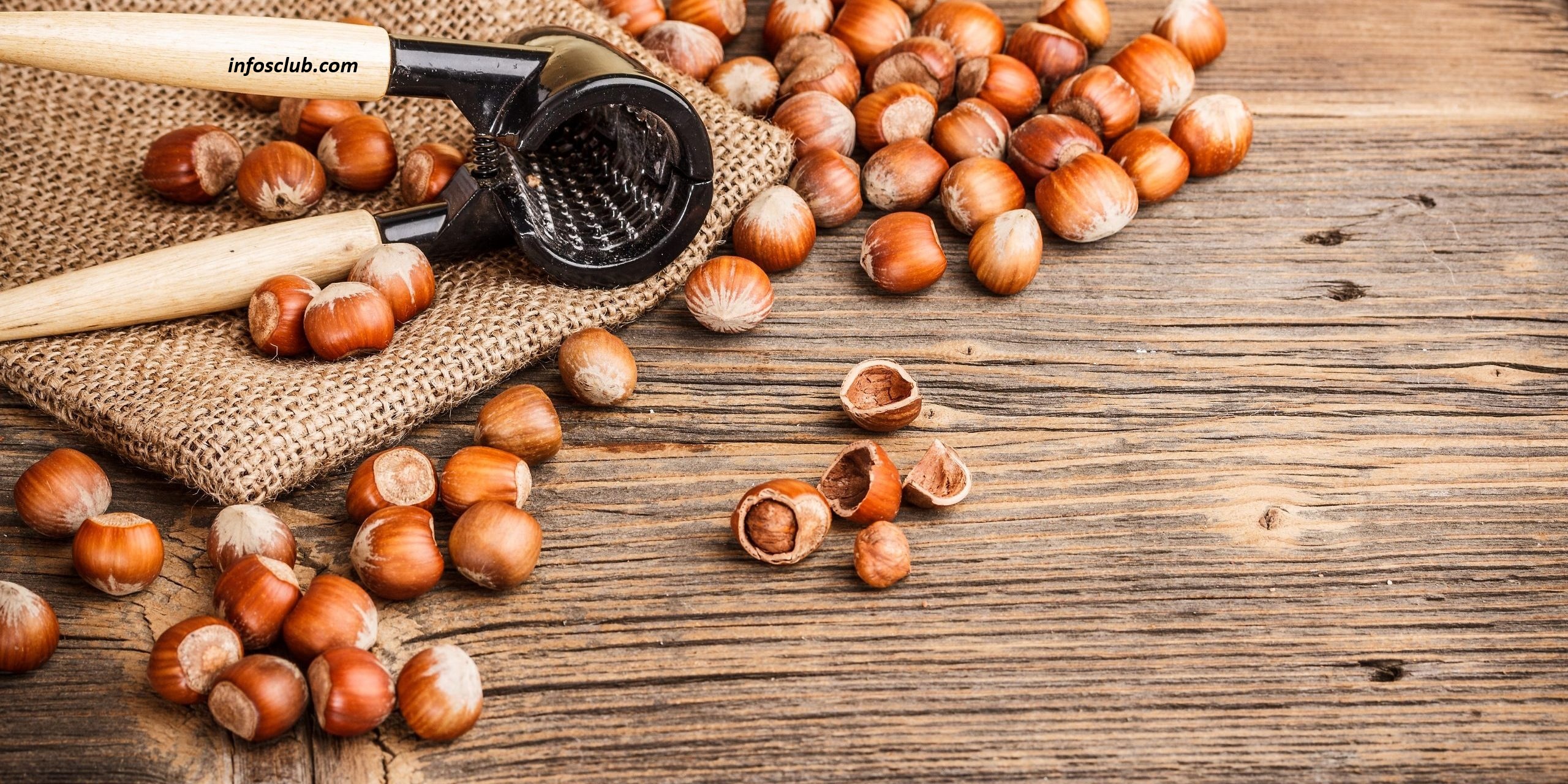 Hazelnut Increase Sperm Count, Benefits, Nutrition