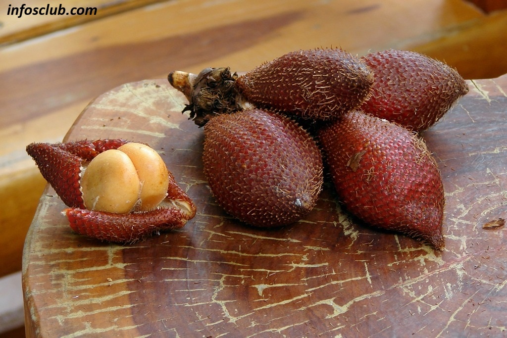 Salak: Benefits, Nutrition & Is It Safe To Eat Salak Everyday
