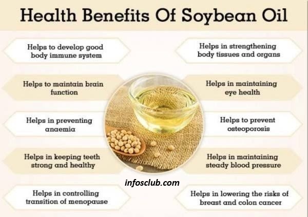 What Is Soybean Oil And Benefits/Side Effect Of Soybean Oil