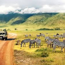 The Best Safari Destinations in Africa