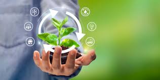 Sustainability in Education: Preparing Future Generations